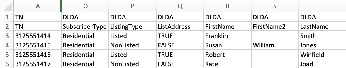 Template CSV DLDA columns